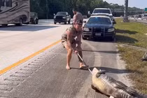 Quái thú tràn lên cao tốc, lính thủy đánh bộ lập tức "xuất chiêu"