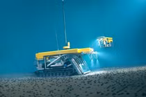 Lộ “mỏ kho báu” ở nơi ánh sáng không chạm tới, cả TG ngỡ ngàng 