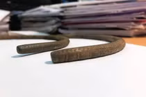 Sửa ống nước, người nông dân sướng ngất đụng trúng “báu vật” Trời ban 