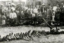 4 bí ẩn khó giải nhất tại Trung Quốc, chuyên gia nhũn não