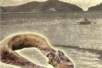 Top “quái vật” gây ám ảnh nhất Việt Nam, số 2 có thật