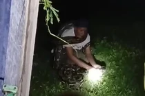 Tay không bắt “quái thú”, người đàn ông bị siết cổ tử vong