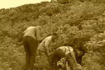 Đi săn cáo, lão nông vô tình đụng trúng “kho báu” tiền tỷ