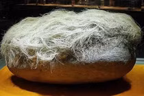 Nhặt được viên đá mọc "tóc trắng", cả làng lập tức bị phong toả