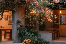 Cổ nhân dạy, cây to trong sân, nhà không nghèo cũng khó