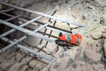 Gián robot cứu hộ động đất Myanmar đang "hot rần rần" có gì đặc biệt? 