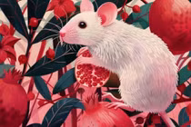  Tháng 4: Top 4 con giáp rực rỡ tài lộc, tiền đẻ ra tiền