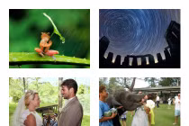 10 bức ảnh gây chú ý nhất năm 2013