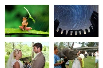 10 bức ảnh gây chú ý nhất năm 2013