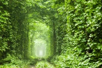 Những đường hầm độc đáo nhất TG