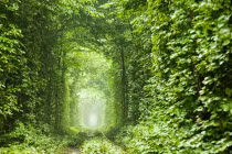 Những đường hầm độc đáo nhất TG