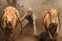 Những lễ tạ ơn độc đáo nhất thế giới