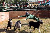 Các trò chơi Tết được bộ đội Việt Nam ưa thích