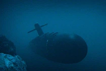 Những cuộc “húc nhau” sinh tử trong lòng đại dương (1)