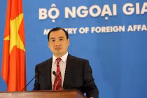 Phản ứng của Việt Nam về máy bay Malaysia rơi