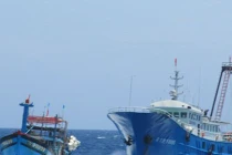 Tàu cá TQ lập hàng rào hung hăng chặn tàu Việt Nam