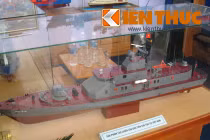 Thăm quan dàn tàu chiến, tuần tra do Việt Nam chế tạo 