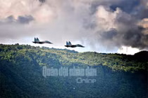 Sư đoàn 330, Quân khu 9 diễn tập có Su-30 yểm trợ