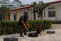 Chiêm ngưỡng “vũ khí sống” của bộ đội biên phòng