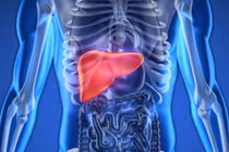 Thần dược chữa xơ gan tại nhà không cần thuốc Tây