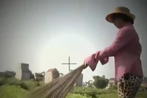 Cách chọn rau không nhiễm hóa chất 