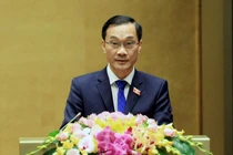 Đề nghị lập nhóm các cơ quan Quốc hội theo dõi tái cơ cấu