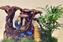 Ngắm nấm linh chi bonsai bạc triệu chơi Tết tuyệt đẹp