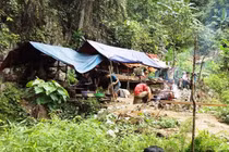 Ảnh: Hàng trăm người cố tiếp cận 3 phu vàng mắc kẹt