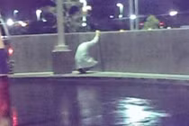 Những câu chuyện xúc động về nghề Y