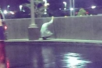 Những câu chuyện xúc động về nghề Y