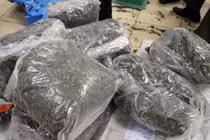 Ảnh: Đường đi của 2,5 tấn ma túy lá Khat cực độc