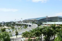 Phát hiện muỗi truyền virus Zika ở sân bay Đà Nẵng