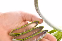 11 loại tinh dầu, thảo dược làm đẹp tóc