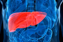 10 căn bệnh ung thư do virus gây ra