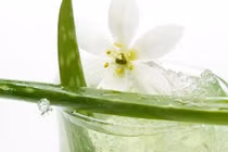 14 loại nước uống giúp bạn trẻ mãi không già