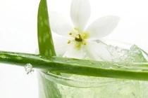 14 loại nước uống giúp bạn trẻ mãi không già