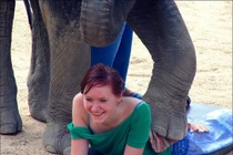 Choáng với dịch vụ massage bằng... voi