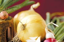 Thực phẩm có mùi khó chịu nhưng cực tốt