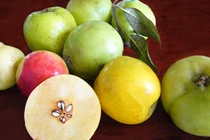 Những phương pháp giảm béo cổ truyền cực hữu ích