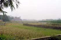 "Quan" huyện "xẻ" đất công cho vợ con