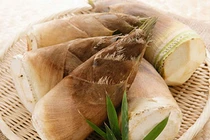 Điểm mặt những thực phẩm chứa chất độc tự nhiên