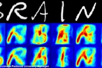 Sắp đọc được suy nghĩ bằng cách chụp não