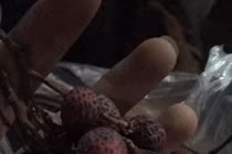 Cười bò thành quả mua vải ngon của mạng của trai trẻ