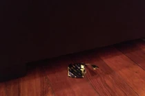 Hãi hùng những cặp “chim chuột” ở quán cafe còn ngang nhiên bỏ lại thứ ấy