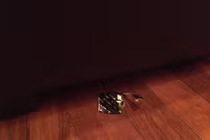 Hãi hùng những cặp “chim chuột” ở quán cafe còn ngang nhiên bỏ lại thứ ấy