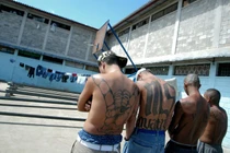 Giải mật kinh ngạc tổ chức của băng đảng tàn bạo nhất thế giới