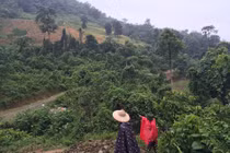 Chuyện chưa kể về chiếc lồng gà trong thảm án giữa rừng Lào Cai