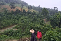 Chuyện chưa kể về chiếc lồng gà trong thảm án giữa rừng Lào Cai