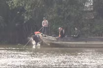 Bơi theo bạn, nam thanh niên chìm dưới sông mất tích