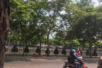 Bàng hoàng giây phút cô giáo trẻ nghi bị đồng nghiệp sát hại